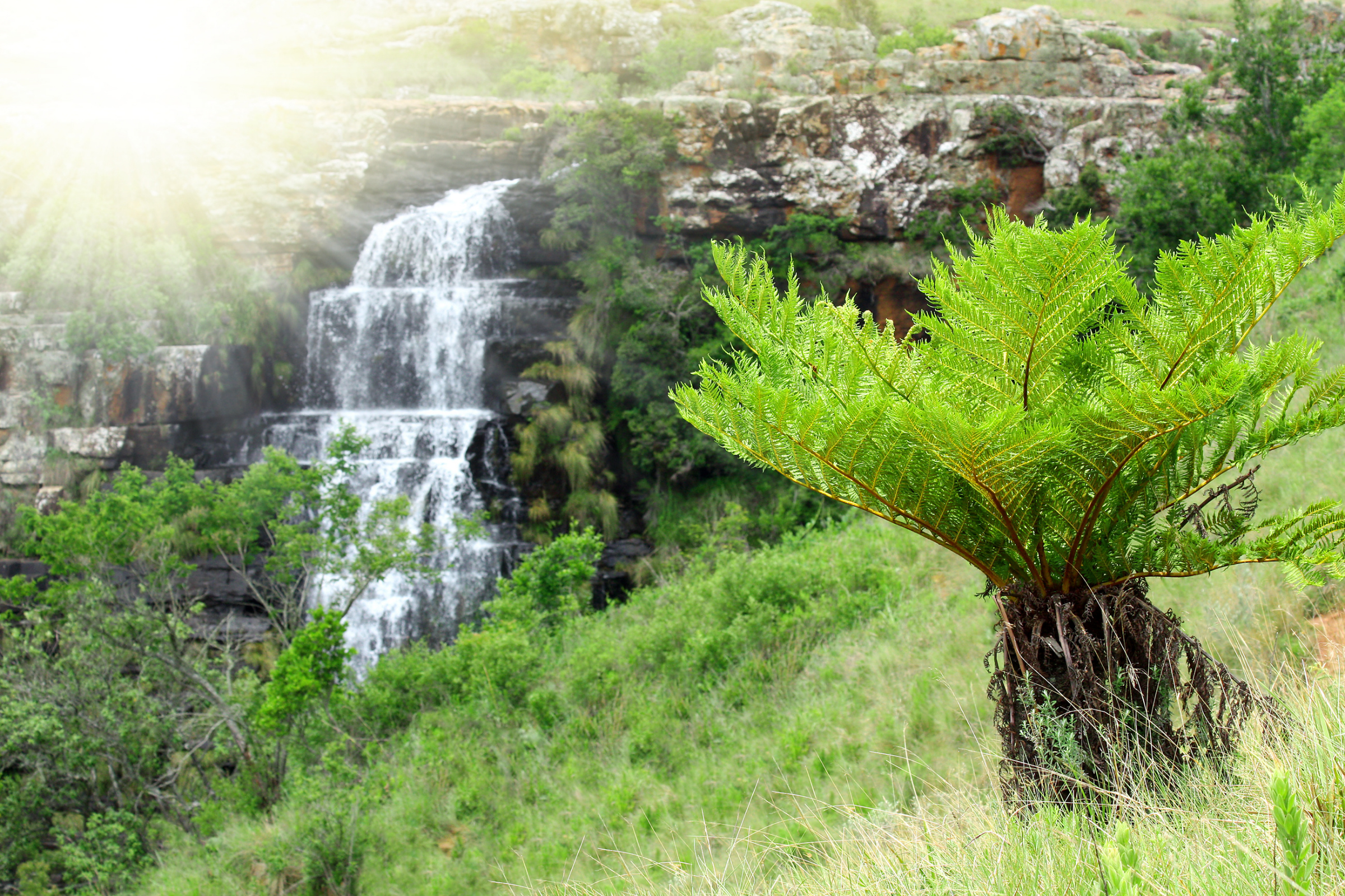 mpumalanga (2).webp